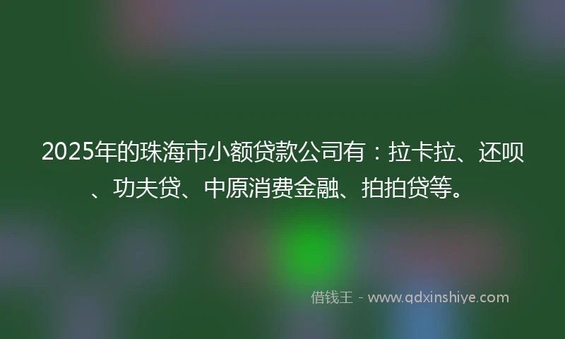 2025年的珠海市小额贷款公司有：拉卡拉、还呗、功夫贷、中原消费金融、拍拍贷等。