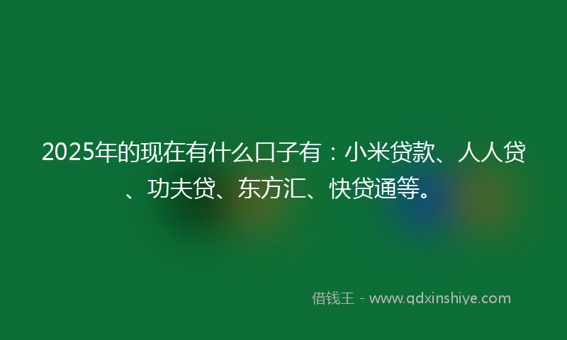 2025年的现在有什么口子有：小米贷款、人人贷、功夫贷、东方汇、快贷通等。