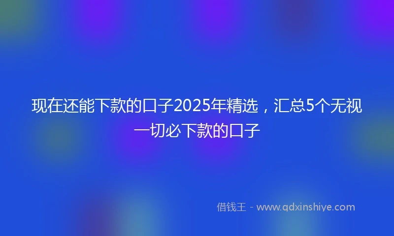 现在还能下款的口子2025年精选，汇总5个无视一切必下款的口子