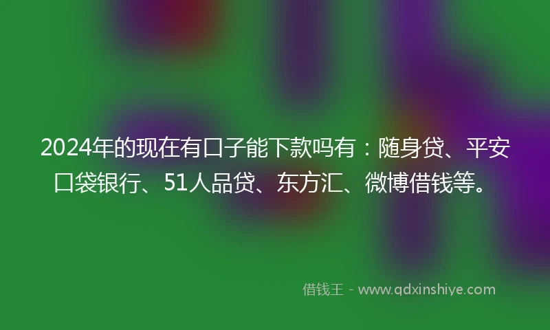 2024年的现在有口子能下款吗有：随身贷、平安口袋银行、51人品贷、东方汇、微博借钱等。