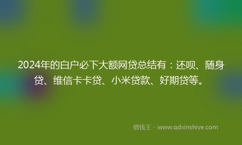 2024年的白户必下大额网贷总结有：还呗、随身贷、维信卡卡贷、小米贷款、好期贷等。