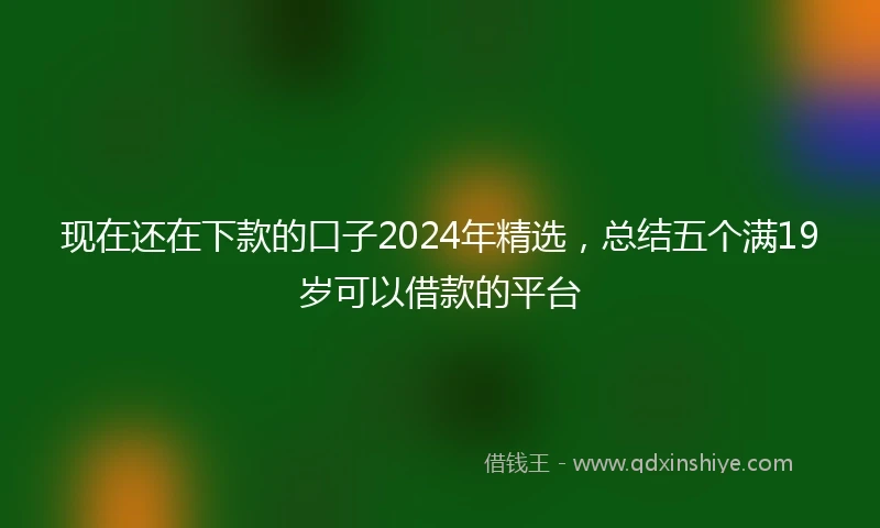 现在还在下款的口子2024年精选，总结五个满19岁可以借款的平台