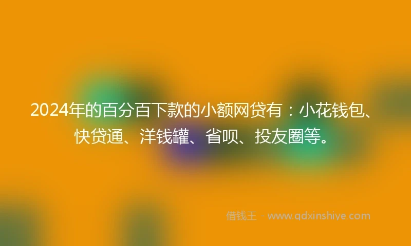 2024年的百分百下款的小额网贷有：小花钱包、快贷通、洋钱罐、省呗、投友圈等。