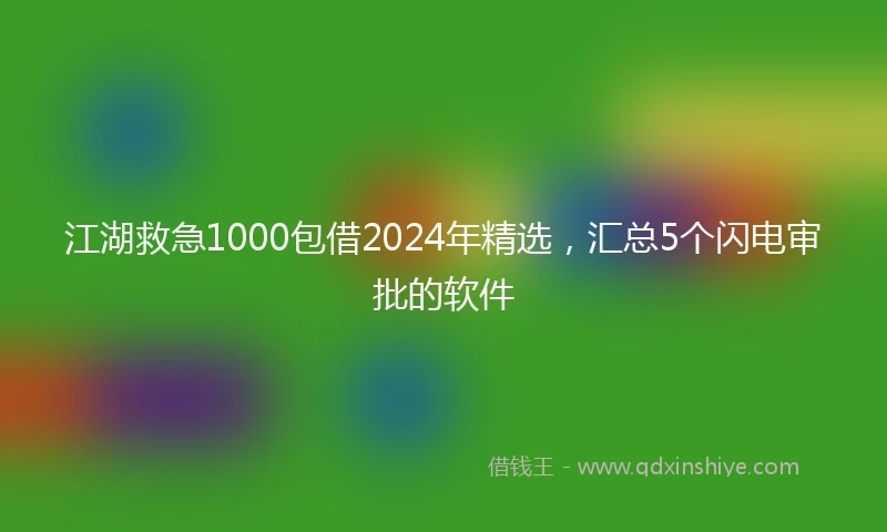 江湖救急1000包借2024年精选，汇总5个闪电审批的软件