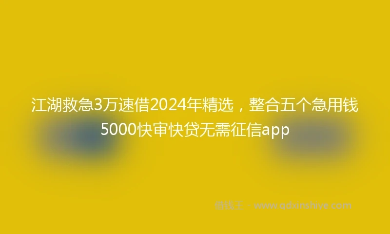 江湖救急3万速借2024年精选，整合五个急用钱5000快审快贷无需征信app