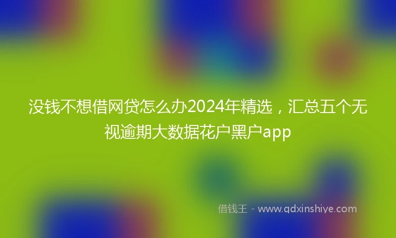 没钱不想借网贷怎么办2024年精选，汇总五个无视逾期大数据花户黑户app