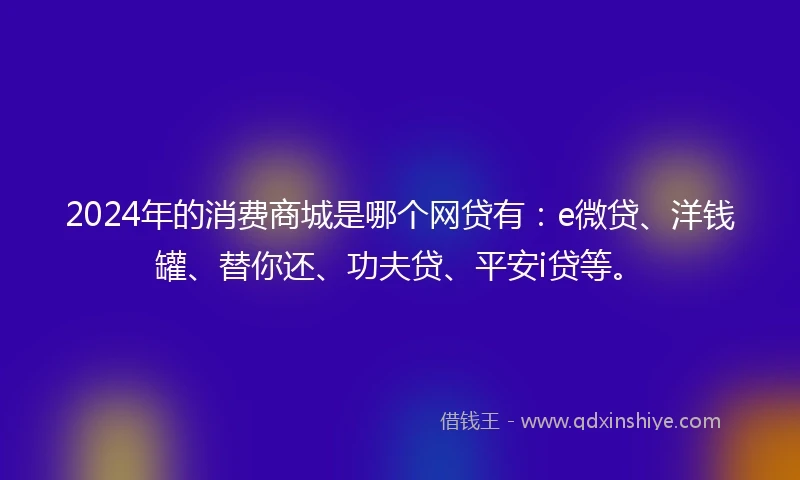 2024年的消费商城是哪个网贷有：e微贷、洋钱罐、替你还、功夫贷、平安i贷等。
