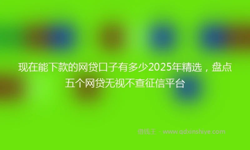 现在能下款的网贷口子有多少2025年精选，盘点五个网贷无视不查征信平台
