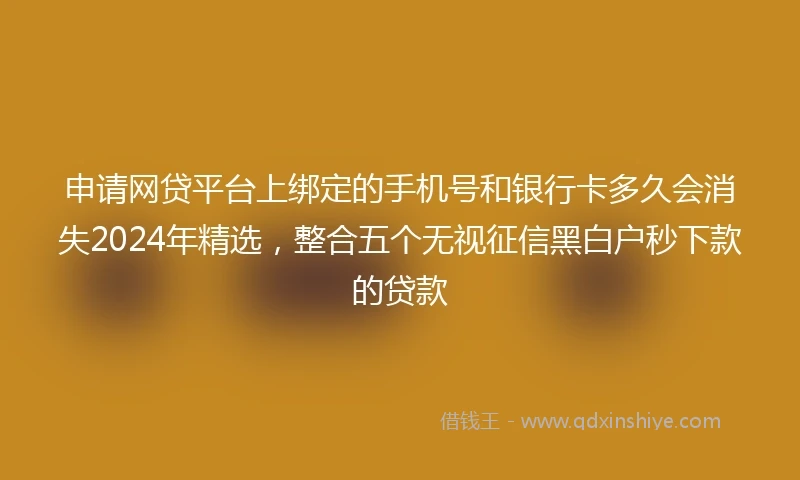 申请网贷平台上绑定的手机号和银行卡多久会消失2024年精选，整合五个无视征信黑白户秒下款的贷款