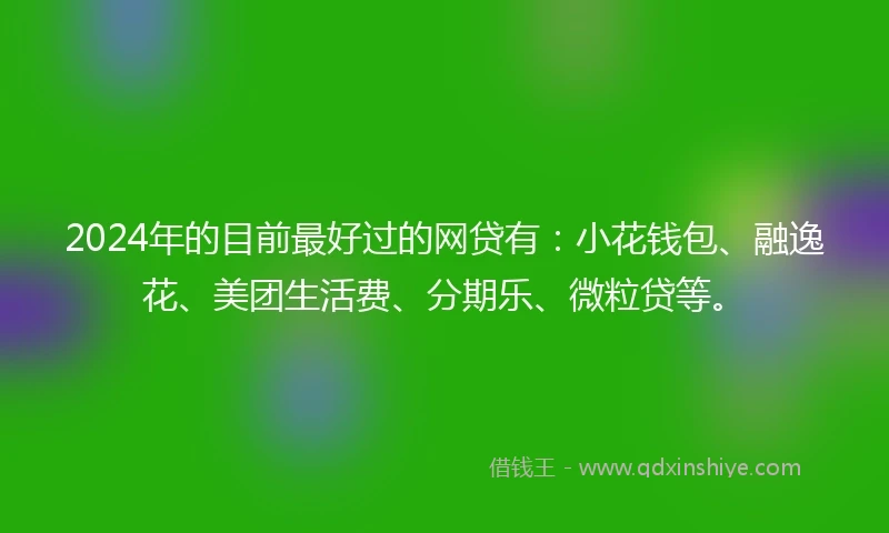 2024年的目前最好过的网贷有：小花钱包、融逸花、美团生活费、分期乐、微粒贷等。