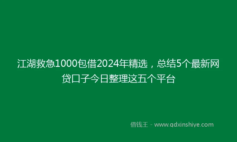 江湖救急1000包借2024年精选，总结5个最新网贷口子今日整理这五个平台