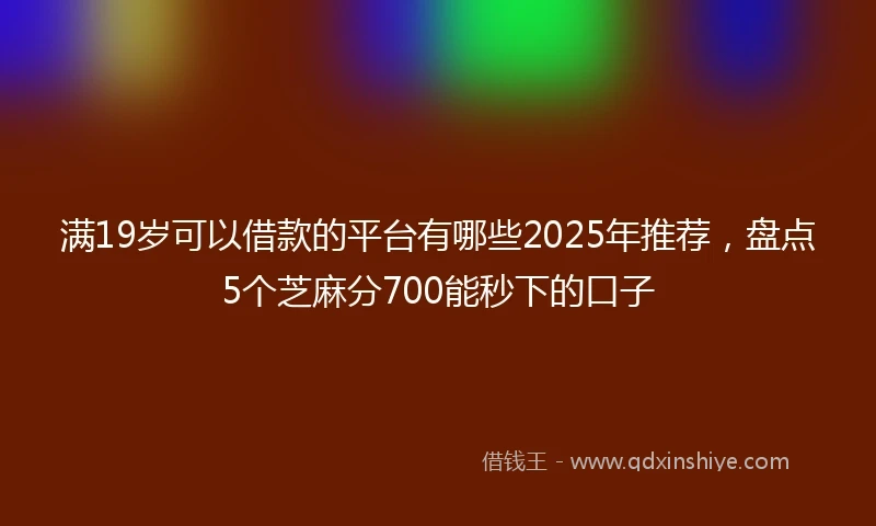 满19岁可以借款的平台有哪些2025年推荐，盘点5个芝麻分700能秒下的口子