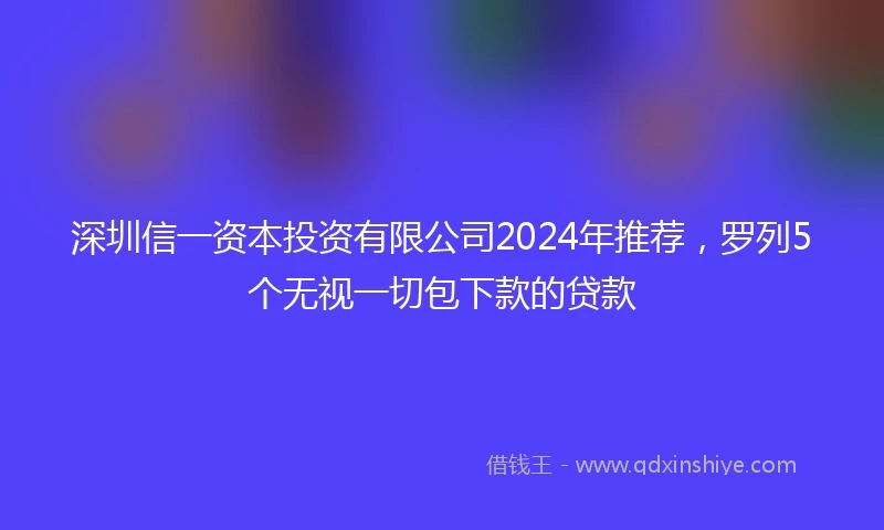 深圳信一资本投资有限公司2024年推荐，罗列5个无视一切包下款的贷款