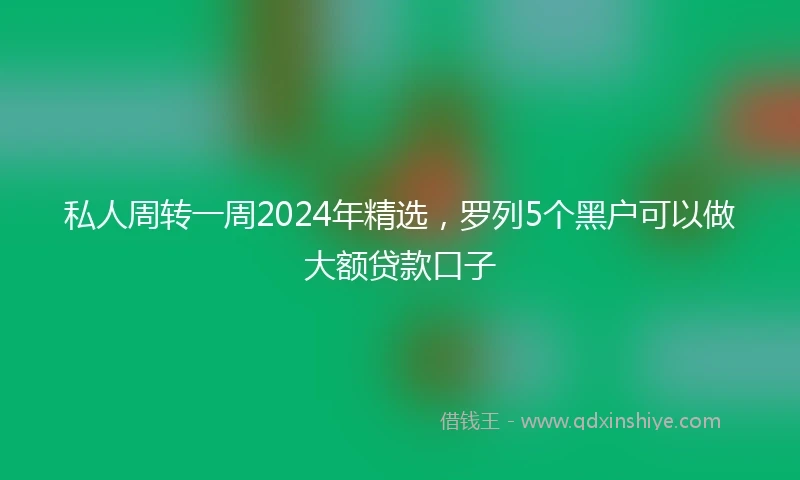 私人周转一周2024年精选，罗列5个黑户可以做大额贷款口子