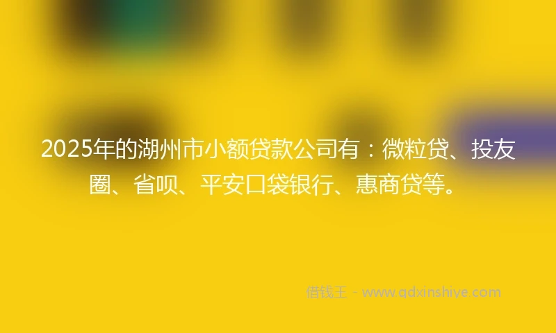 2025年的湖州市小额贷款公司有：微粒贷、投友圈、省呗、平安口袋银行、惠商贷等。
