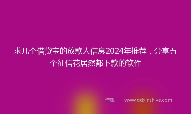 求几个借贷宝的放款人信息2024年推荐，分享五个征信花居然都下款的软件