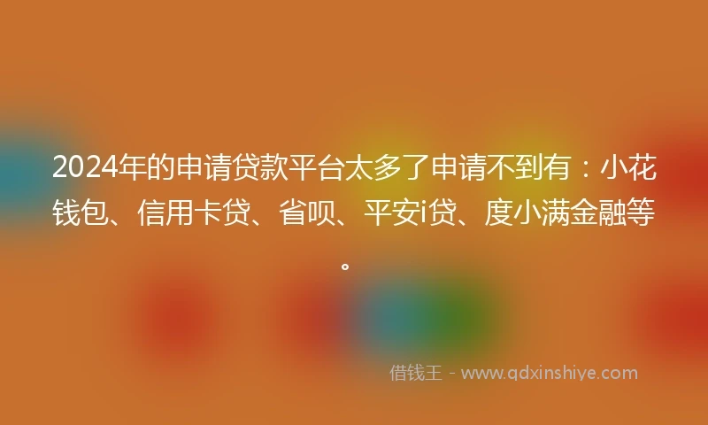 2024年的申请贷款平台太多了申请不到有：小花钱包、信用卡贷、省呗、平安i贷、度小满金融等。