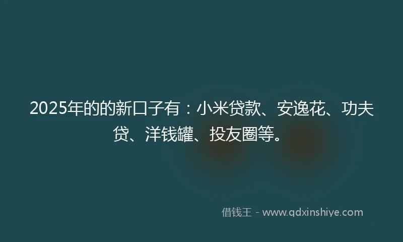 2025年的的新口子有：小米贷款、安逸花、功夫贷、洋钱罐、投友圈等。