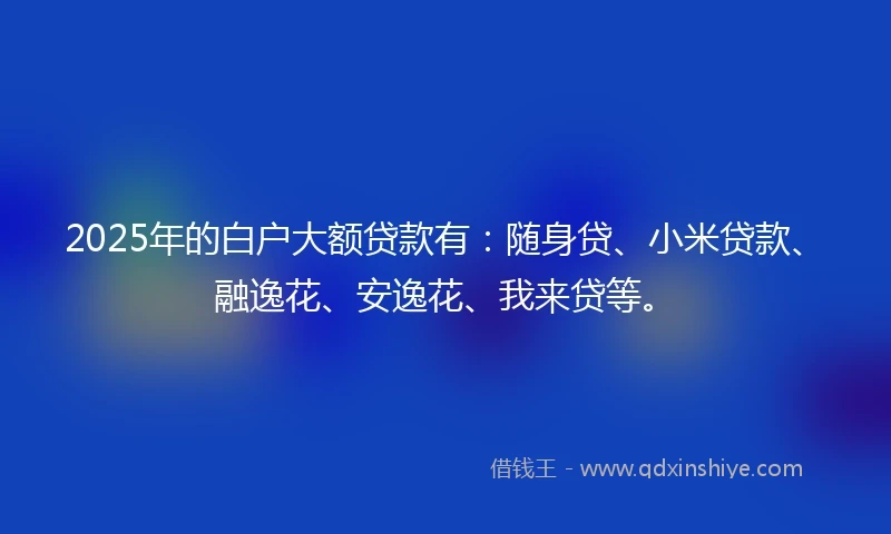 2025年的白户大额贷款有：随身贷、小米贷款、融逸花、安逸花、我来贷等。