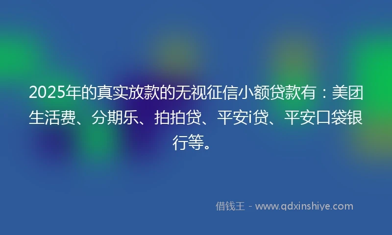 2025年的真实放款的无视征信小额贷款有：美团生活费、分期乐、拍拍贷、平安i贷、平安口袋银行等。