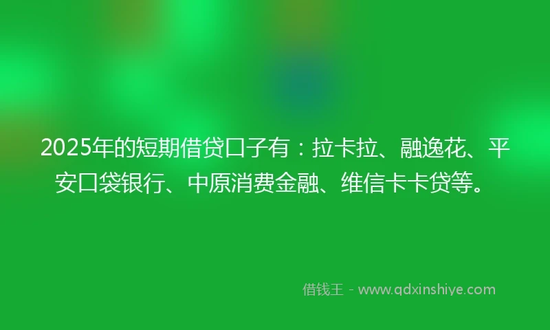 2025年的短期借贷口子有：拉卡拉、融逸花、平安口袋银行、中原消费金融、维信卡卡贷等。