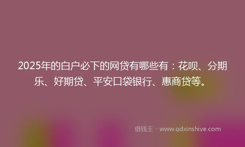 2025年的白户必下的网贷有哪些有：花呗、分期乐、好期贷、平安口袋银行、惠商贷等。