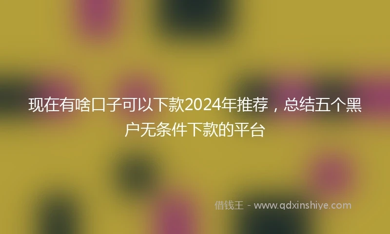 现在有啥口子可以下款2024年推荐，总结五个黑户无条件下款的平台