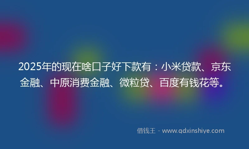 2025年的现在啥口子好下款有:小米贷款、京东金融、中原消费金融、微粒贷、百度有钱花等。