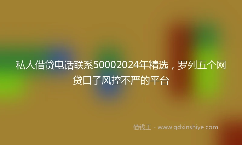私人借贷电话联系50002024年精选，罗列五个网贷口子风控不严的平台
