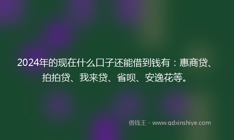 2024年的现在什么口子还能借到钱有：惠商贷、拍拍贷、我来贷、省呗、安逸花等。