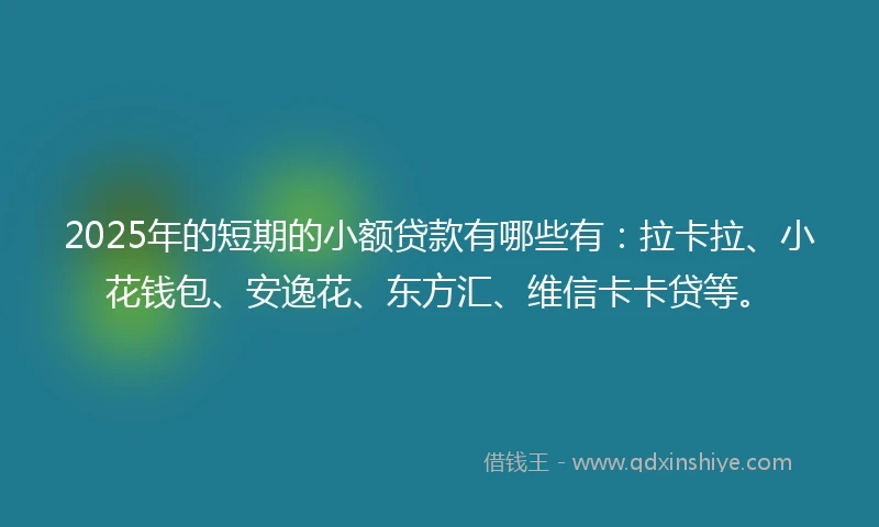 2025年的短期的小额贷款有哪些有：拉卡拉、小花钱包、安逸花、东方汇、维信卡卡贷等。