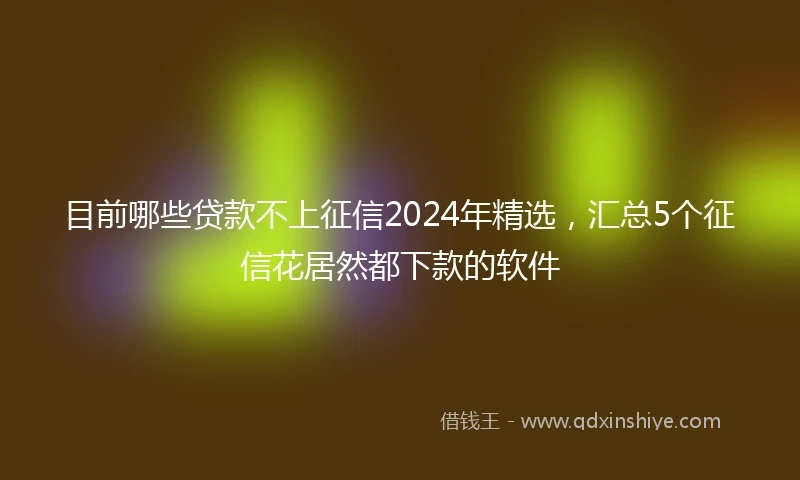 目前哪些贷款不上征信2024年精选，汇总5个征信花居然都下款的软件