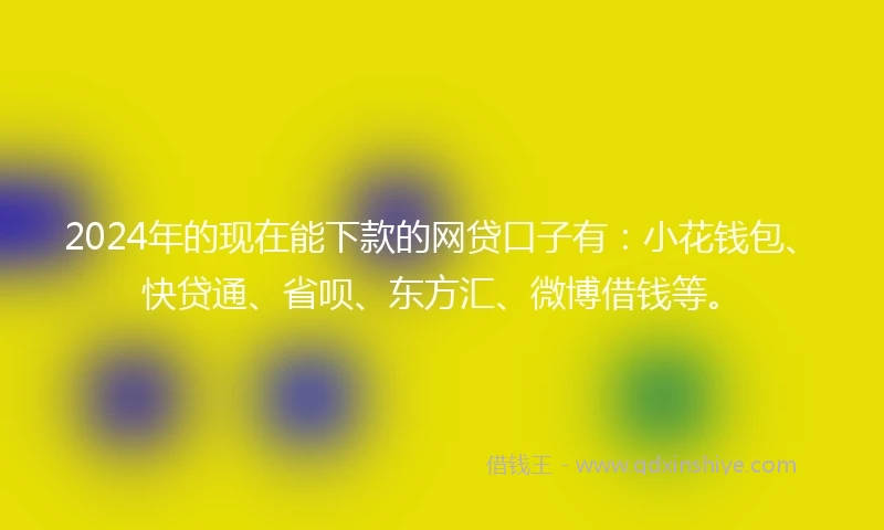 2024年的现在能下款的网贷口子有：小花钱包、快贷通、省呗、东方汇、微博借钱等。