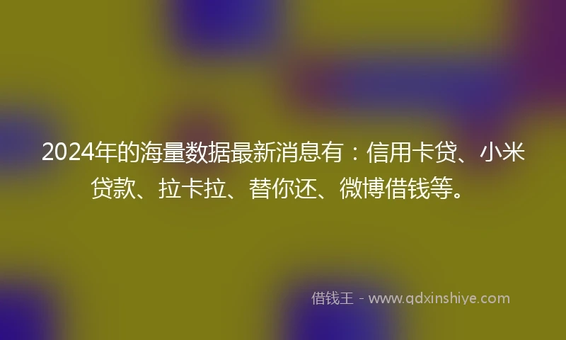 2024年的海量数据最新消息有：信用卡贷、小米贷款、拉卡拉、替你还、微博借钱等。