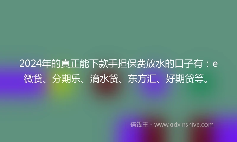 2024年的真正能下款手担保费放水的口子有:e微贷、分期乐、滴水贷、东方汇、好期贷等。