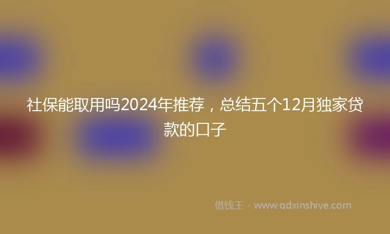 社保能取用吗2024年推荐，总结五个12月独家贷款的口子