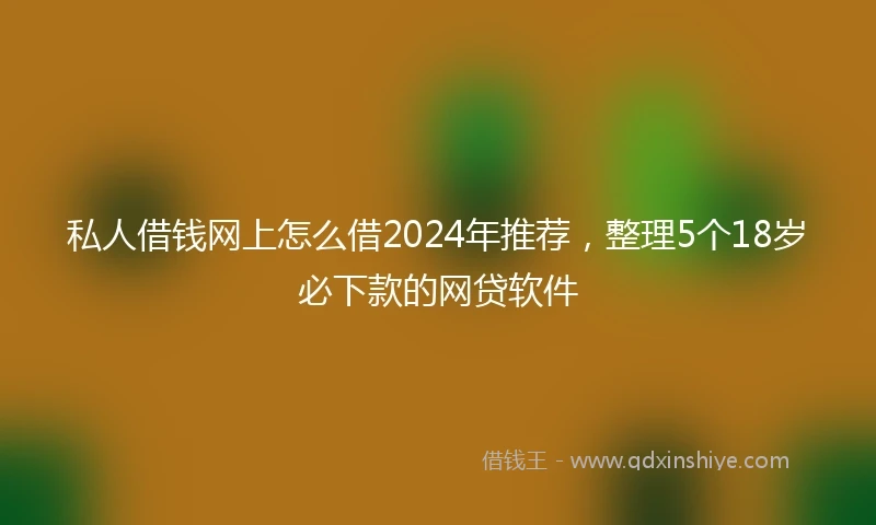 私人借钱网上怎么借2024年推荐，整理5个18岁必下款的网贷软件