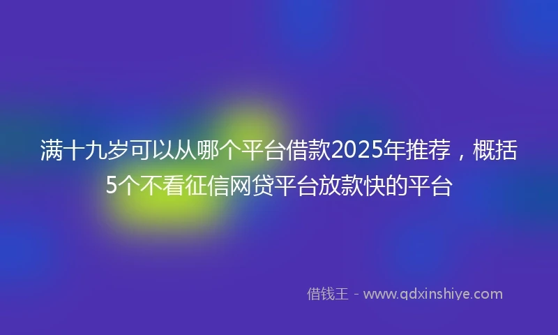 满十九岁可以从哪个平台借款2025年推荐，概括5个不看征信网贷平台放款快的平台