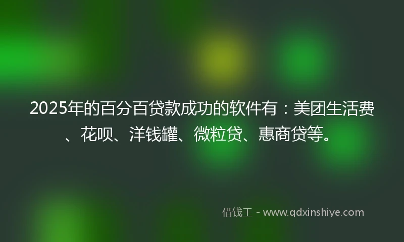2025年的百分百贷款成功的软件有：美团生活费、花呗、洋钱罐、微粒贷、惠商贷等。