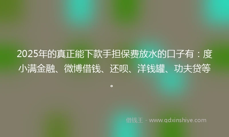2025年的真正能下款手担保费放水的口子有：度小满金融、微博借钱、还呗、洋钱罐、功夫贷等。