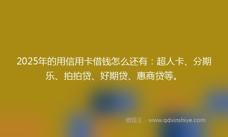 2025年的用信用卡借钱怎么还有：超人卡、分期乐、拍拍贷、好期贷、惠商贷等。