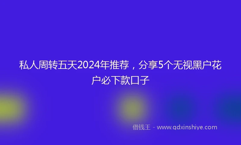 私人周转五天2024年推荐，分享5个无视黑户花户必下款口子