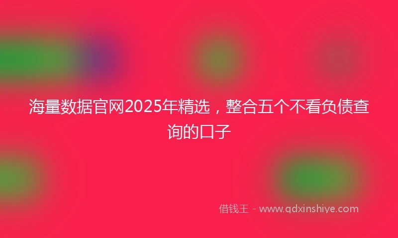 海量数据官网2025年精选，整合五个不看负债查询的口子