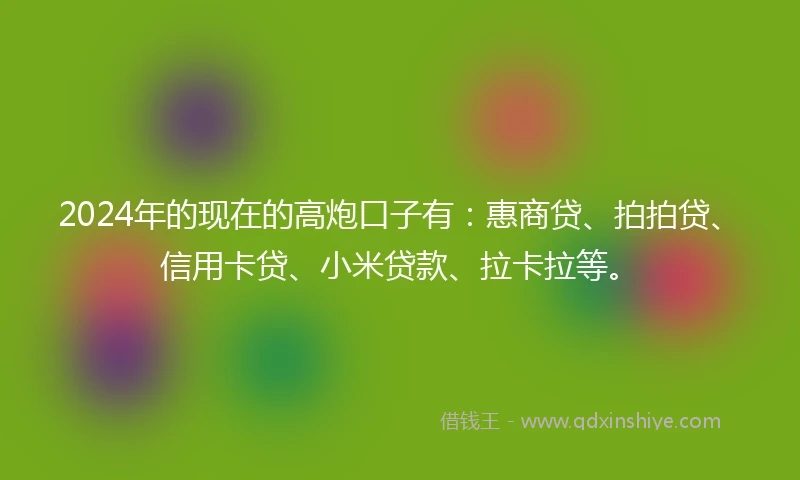 2024年的现在的高炮口子有:惠商贷、拍拍贷、信用卡贷、小米贷款、拉卡拉等。