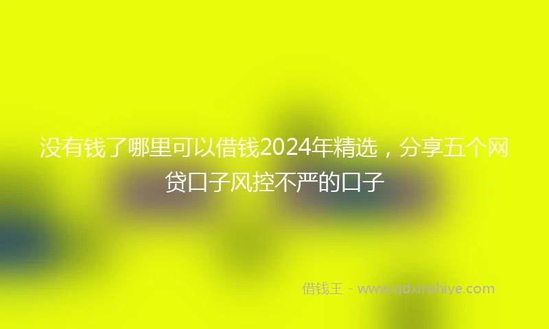 没有钱了哪里可以借钱2024年精选，分享五个网贷口子风控不严的口子