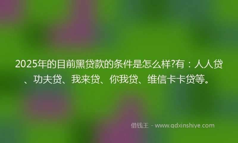 2025年的目前黑贷款的条件是怎么样?有：人人贷、功夫贷、我来贷、你我贷、维信卡卡贷等。