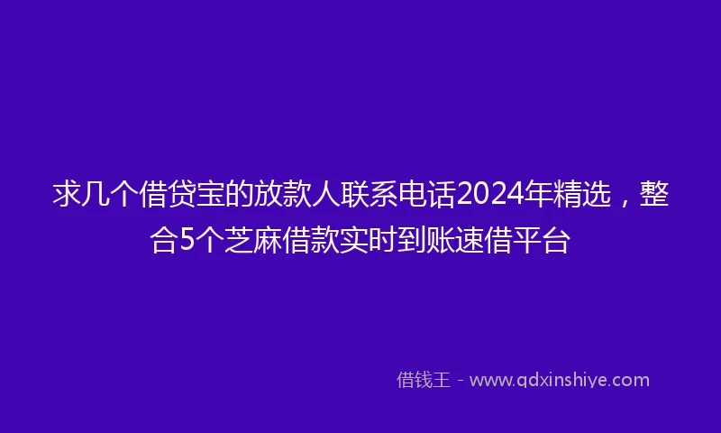 求几个借贷宝的放款人联系电话2024年精选，整合5个芝麻借款实时到账速借平台