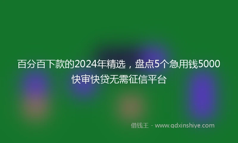 百分百下款的2024年精选，盘点5个急用钱5000快审快贷无需征信平台