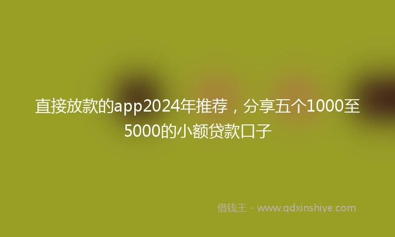 直接放款的app2024年推荐，分享五个1000至5000的小额贷款口子