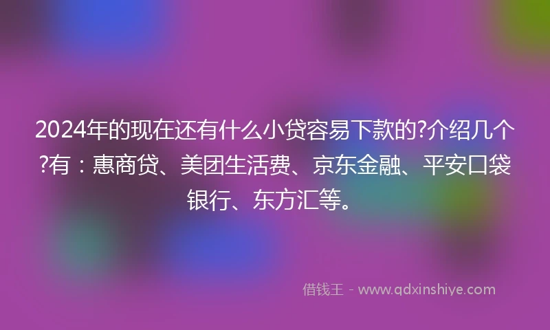 2024年的现在还有什么小贷容易下款的?介绍几个?有：惠商贷、美团生活费、京东金融、平安口袋银行、东方汇等。